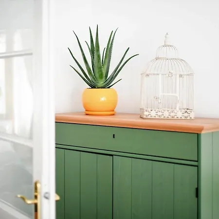 Andrea Κλουζ-Ναπόκα