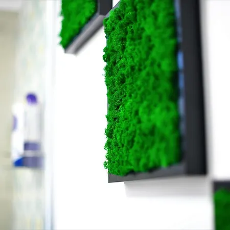 Διαμέρισμα Andrea