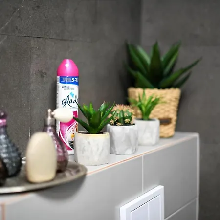 Διαμέρισμα Andrea *