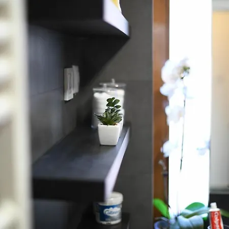 Andrea Διαμέρισμα Κλουζ-Ναπόκα