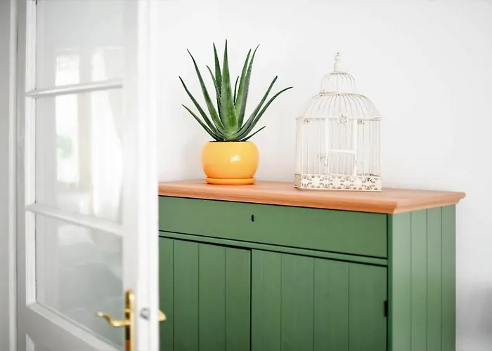 Andrea Κλουζ-Ναπόκα