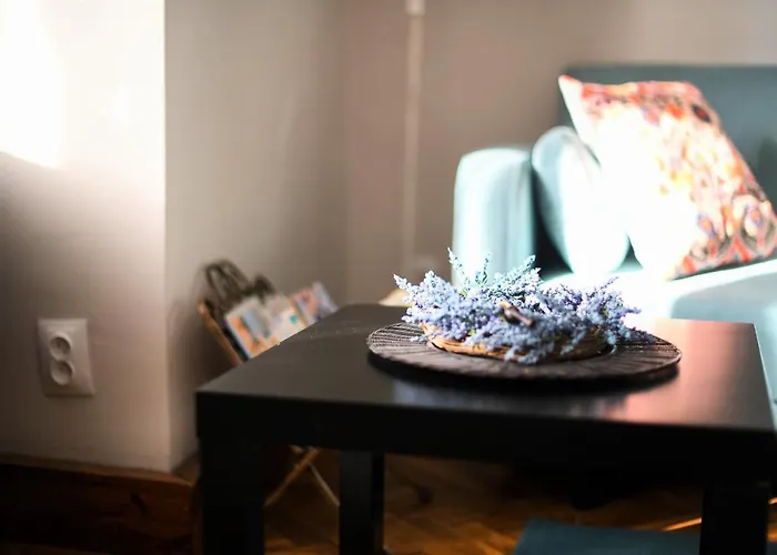 Andrea * Cluj-Napoca