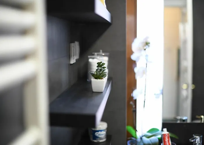 Andrea Διαμέρισμα Κλουζ-Ναπόκα